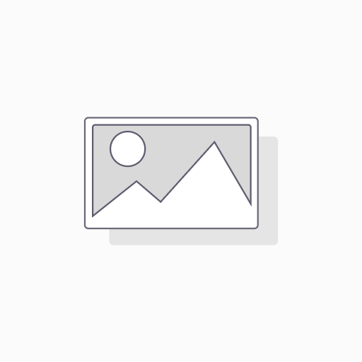 1300010F03Rik AAV Vector (Mouse) (CMV)